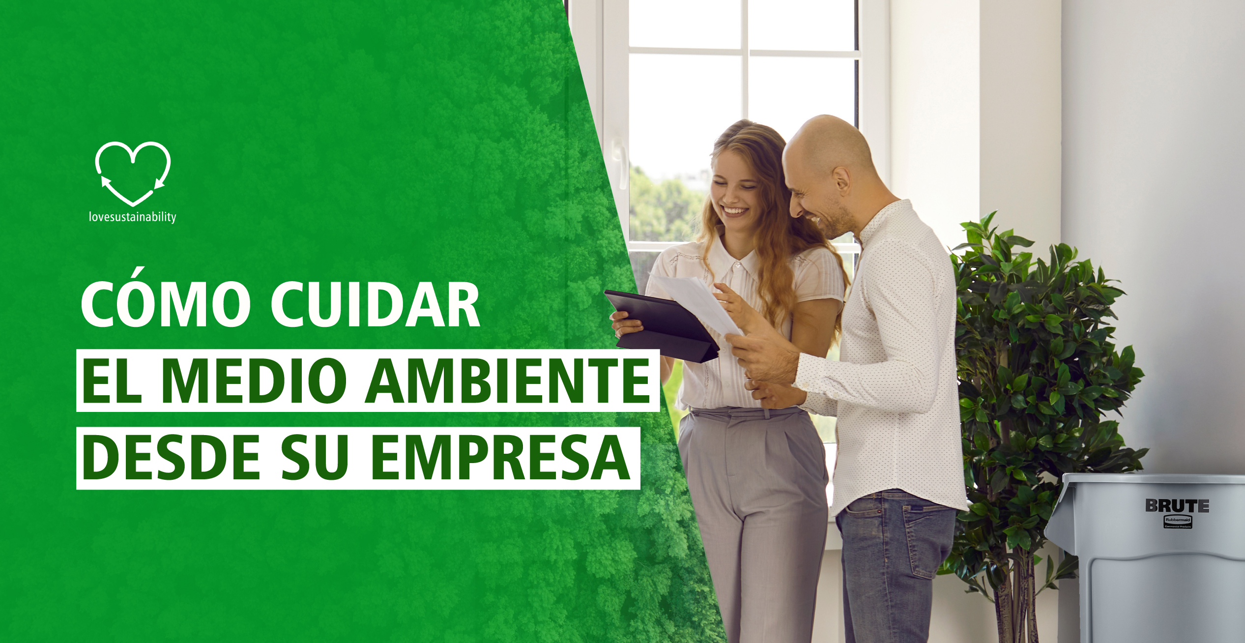 Consejos y acciones para que su empresa cuide el medio ambiente