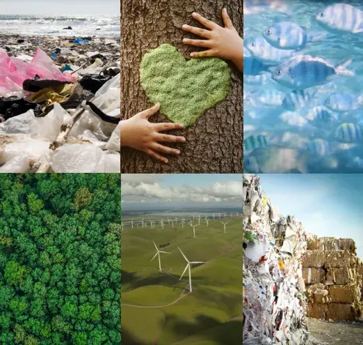 Día de la Tierra: Estrategias para hacer tu empresa más sostenible